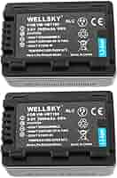 Amazon | WELLSKY VW-VBT190-K 2500mAh 2個 互換バッテリー